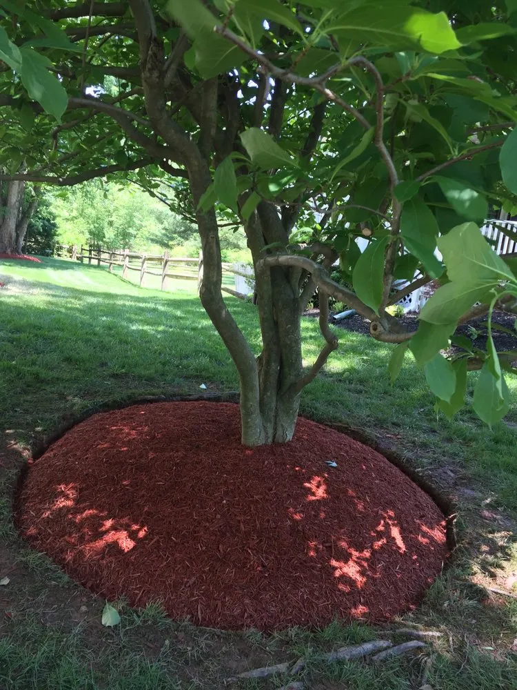 Expert landscape design for year-round maintenance across MONTGOMRY VLG, MD - Mountain Peak Landscaping