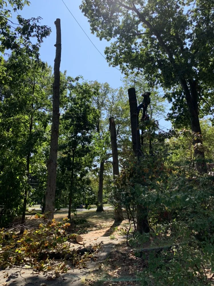 Expert landscape installation experts serving MONTGOMRY VLG, MD - Mountain Peak Landscaping