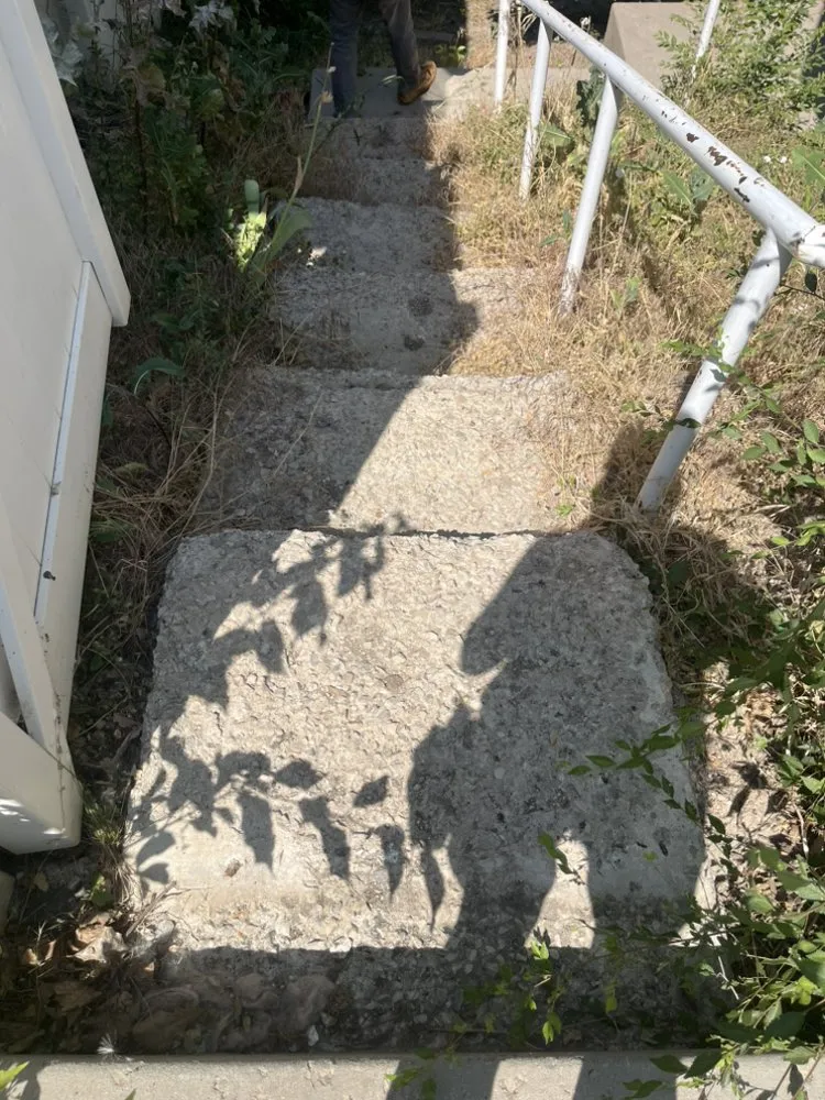 Custom yard cleanup service in Salt Lake City, UT by Mountain Peaks Landscaping