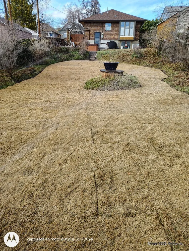 Trusted residential landscaping in Salt Lake City, UT - Mountain Peaks Landscaping