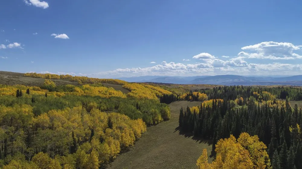 Local yard maintenance for year-round maintenance in Avon, CO by Mountain Properties & Landscapes