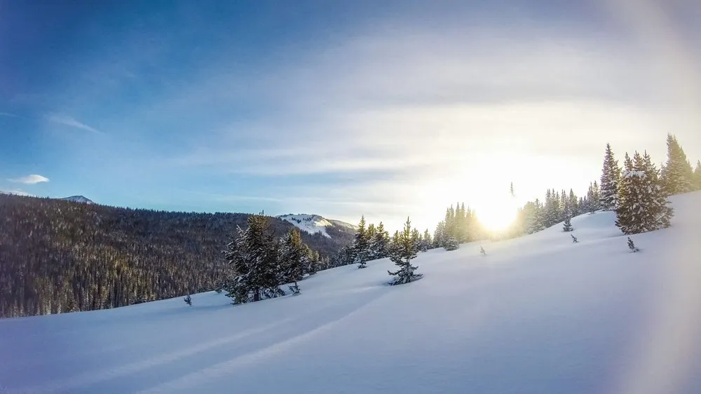 Professional yard cleanup service in Avon, CO by Mountain Properties & Landscapes