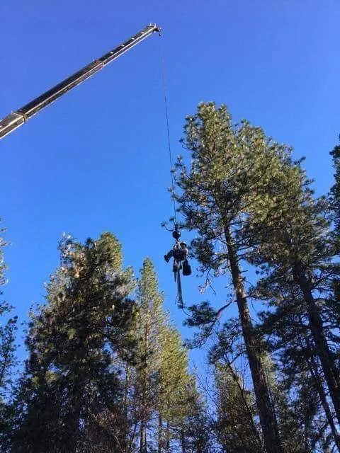 Expert lawn mowing service near you across Paulden, AZ - Mountain Range Tree Expert