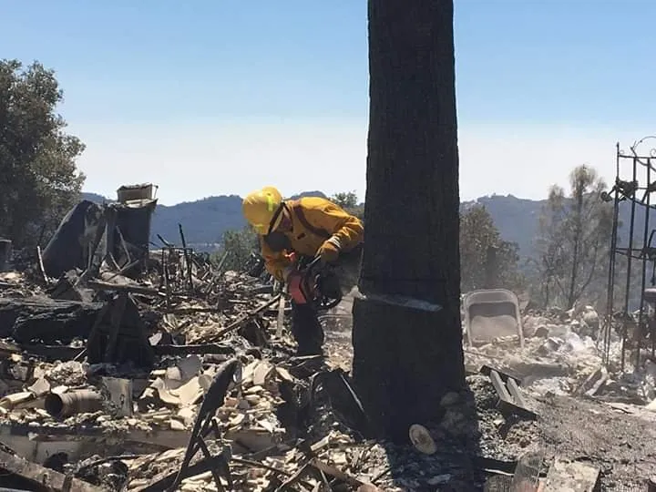 Affordable landscaping services in Paulden, AZ - Mountain Range Tree Expert