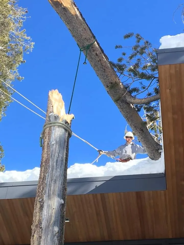 Professional landscape design for beautiful yards in Paulden, AZ by Mountain Range Tree Expert