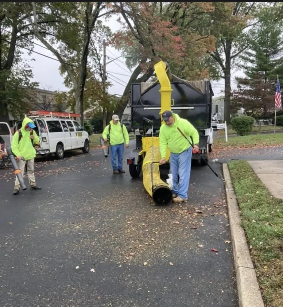Affordable outdoor landscaping for beautiful yards in Elmwood Park, NJ by Mountain Ridge Landscaping Maintenance & Design