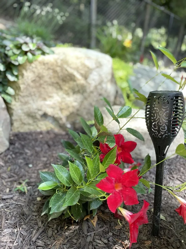 Reliable residential landscaping for beautiful yards in Elmwood Park, NJ by Mountain Ridge Landscaping Maintenance & Design