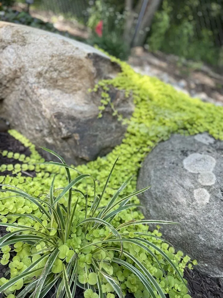 Custom garden landscaping experts serving Elmwood Park, NJ - Mountain Ridge Landscaping Maintenance & Design