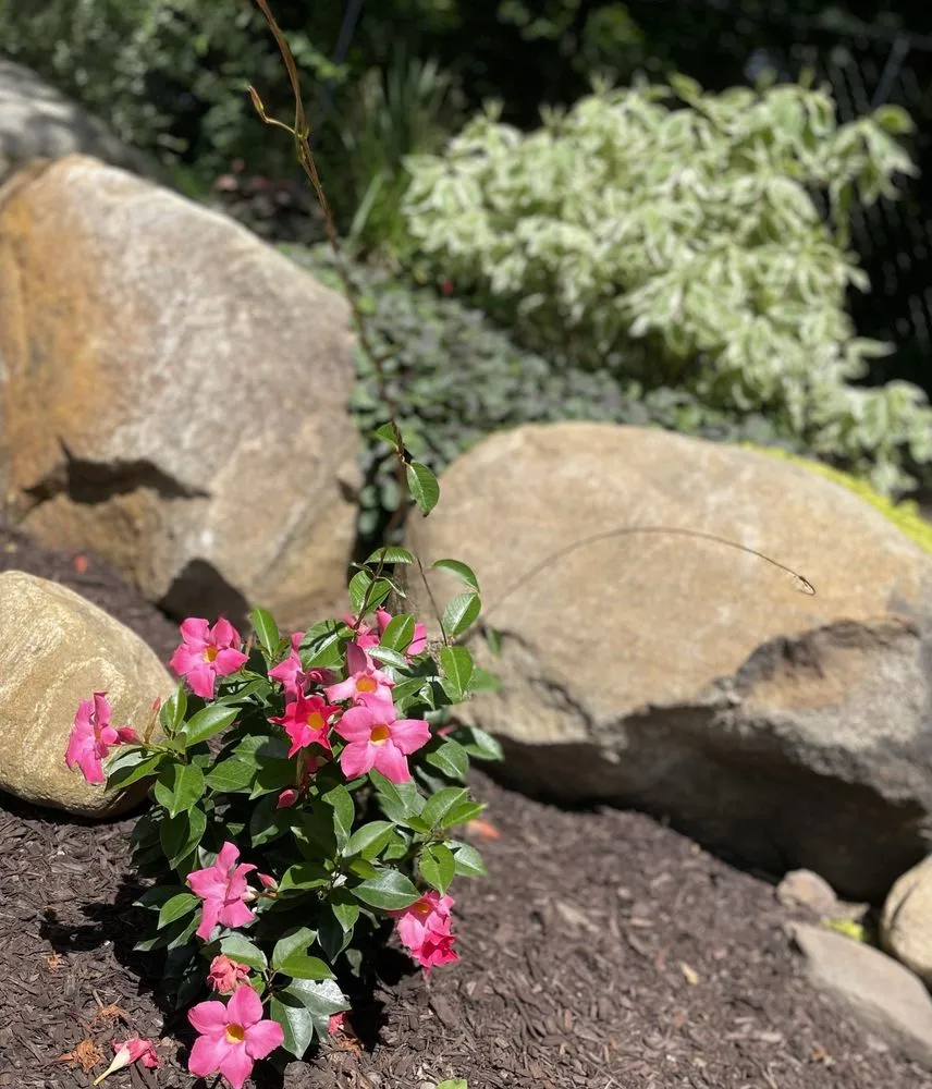 Expert lawn mowing service for residential properties across Elmwood Park, NJ - Mountain Ridge Landscaping Maintenance & Design