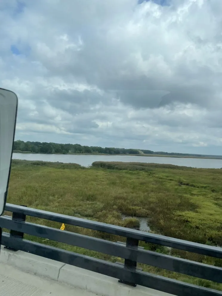 Professional lawn care service in Lexington, VA - Mountain Shore Land Management