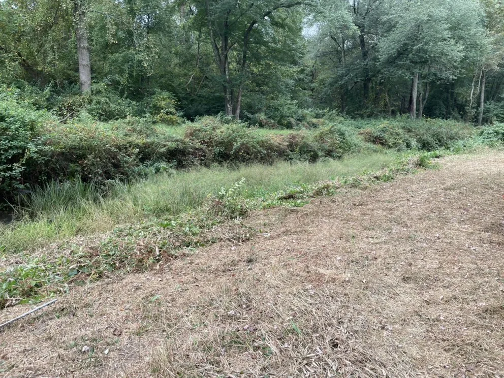 Trusted outdoor landscaping for homes across Lexington, VA - Mountain Shore Land Management