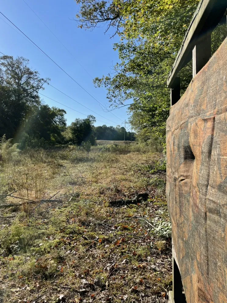 Top-rated outdoor landscaping experts serving Lexington, VA - Mountain Shore Land Management