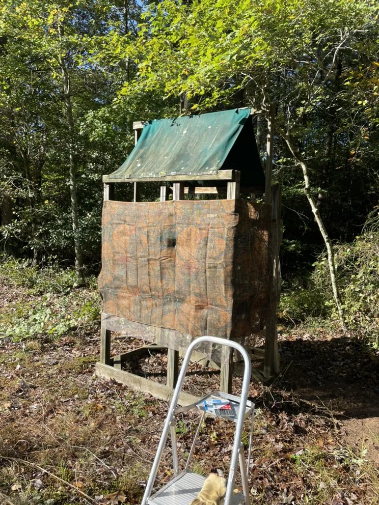 Expert landscape installation in Lexington, VA by Mountain Shore Land Management