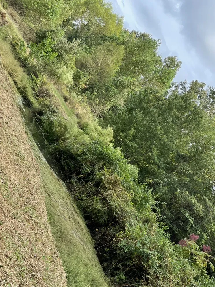 Custom residential landscaping in Lexington, VA by Mountain Shore Land Management