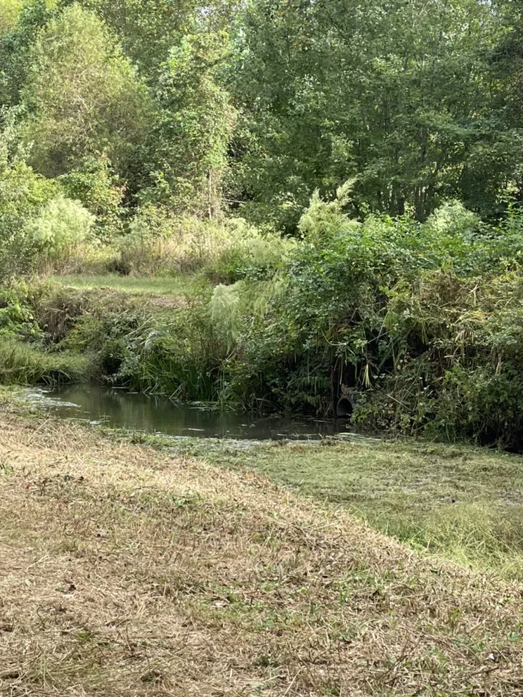 Expert lawn mowing service in Lexington, VA - Mountain Shore Land Management