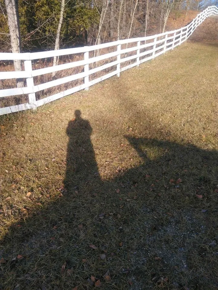 Expert yard cleanup service experts serving Grand Rapids, MI - Mountain Side