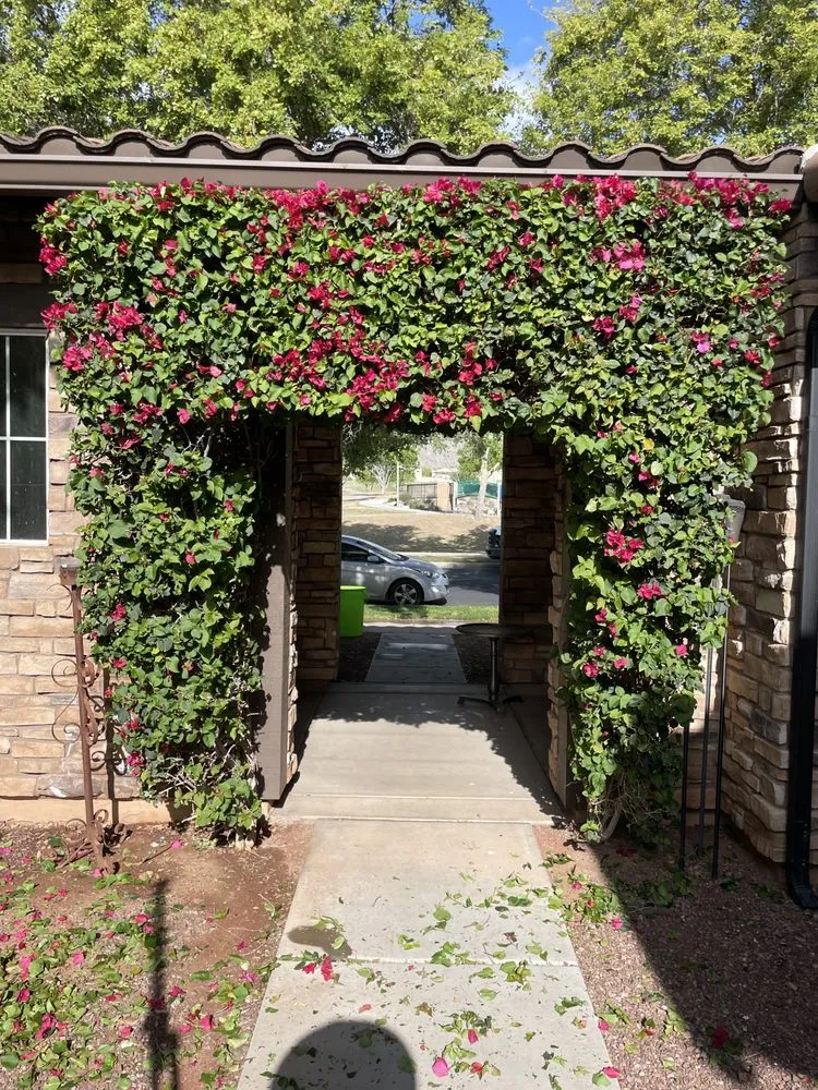 Expert landscaping services experts serving Phoenix, AZ - Mountain Side Landscaping