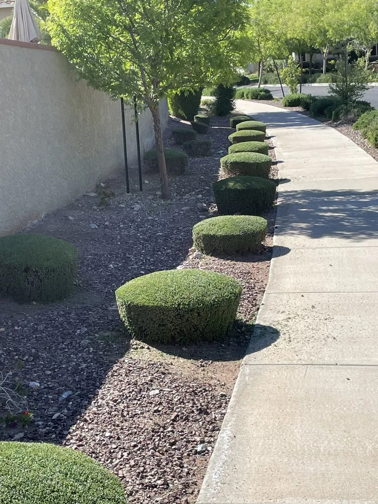 Expert lawn mowing service in Phoenix, AZ by Mountain Side Landscaping