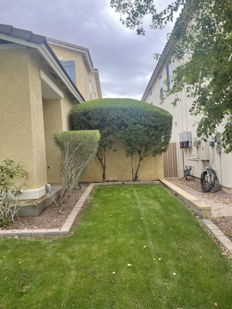 Professional residential landscaping experts serving Phoenix, AZ - Mountain Side Landscaping