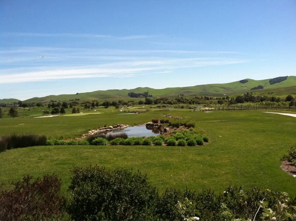 Trusted yard cleanup service for residential properties in Bend, OR by Mountain Sky Landscaping