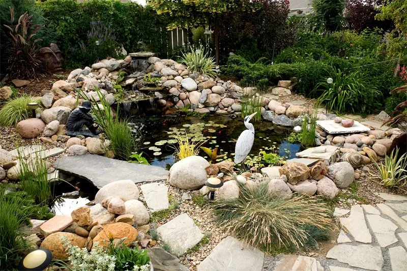 Reliable yard cleanup service in Boulder, CO - Mountain Sky Landscaping