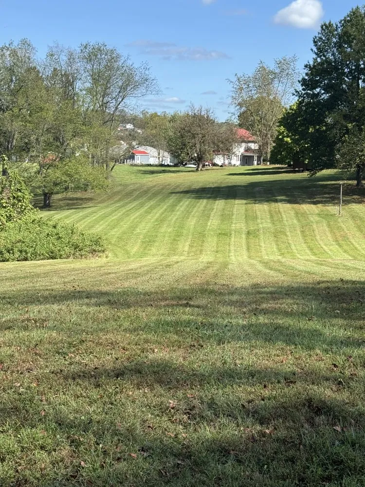 Trusted yard cleanup service experts serving Jane Lew, WV - Mountain State Exterior Pros