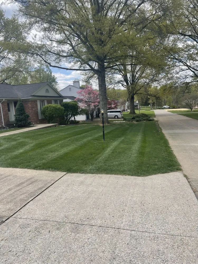 Custom lawn mowing service in Jane Lew, WV by Mountain State Exterior Pros