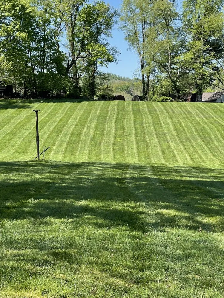 Affordable yard cleanup service in Jane Lew, WV - Mountain State Exterior Pros