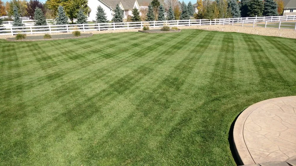 Expert landscape installation in Brighton, CO by Mountain State Landscape Services