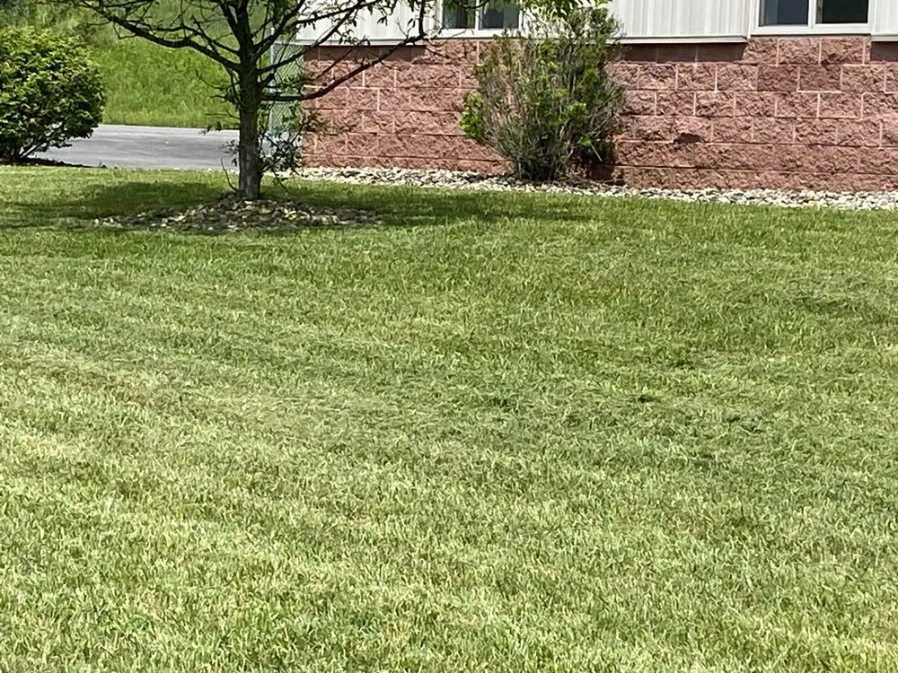 Affordable residential landscaping experts serving White Hall, WV - Mountain State Lawn
