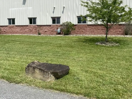 Mountain State Lawn