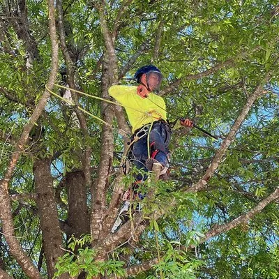 Mountain Thicket Landscaping & Tree Services