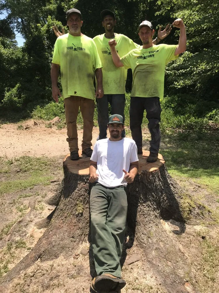 Custom landscaping services for residential properties across Yorktown, VA - Mountain To Sea Tree Service