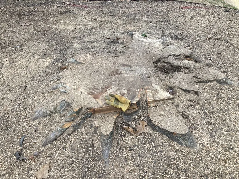 Affordable garden landscaping in Yorktown, VA by Mountain To Sea Tree Service