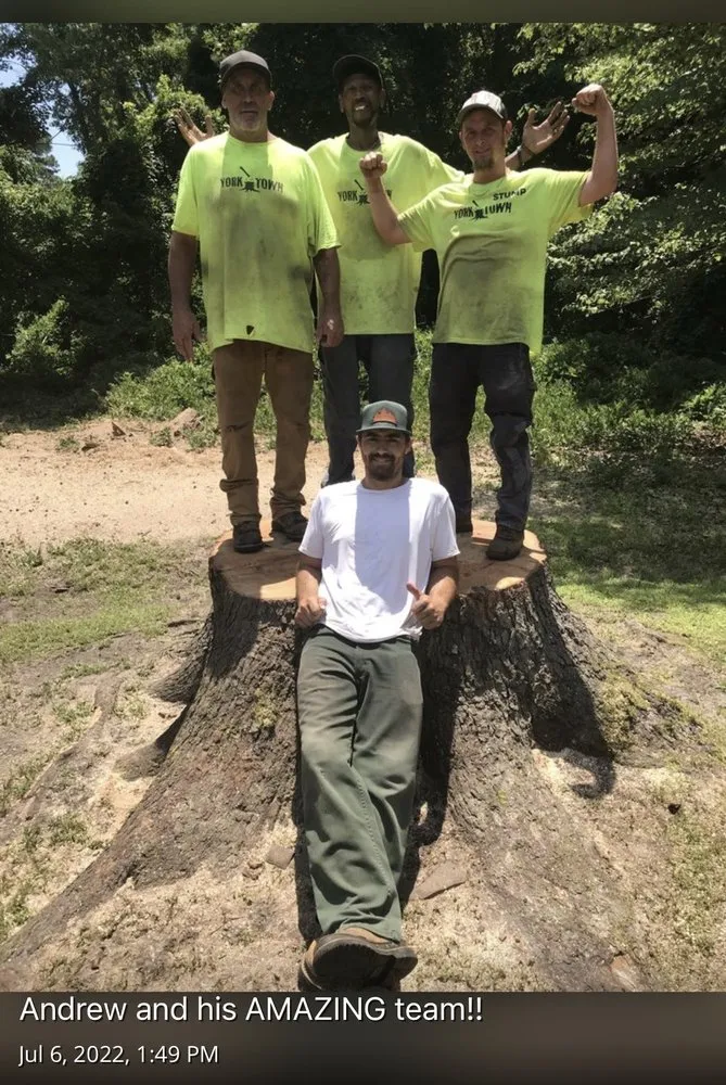 Expert garden landscaping in Yorktown, VA by Mountain To Sea Tree Service