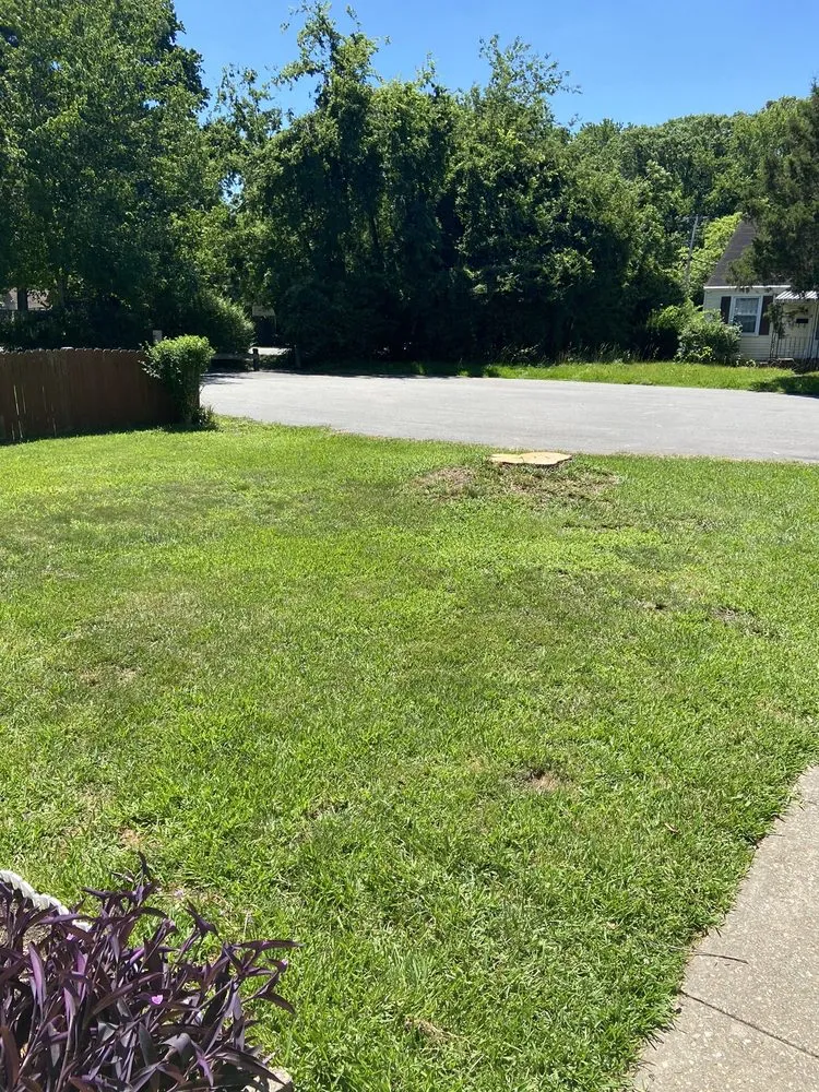 Trusted outdoor landscaping with custom design across Yorktown, VA - Mountain To Sea Tree Service