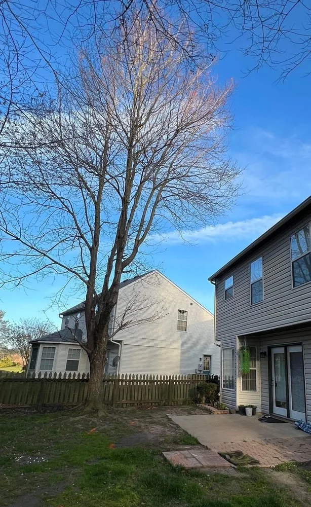 Top-rated garden landscaping in Yorktown, VA by Mountain To Sea Tree Service