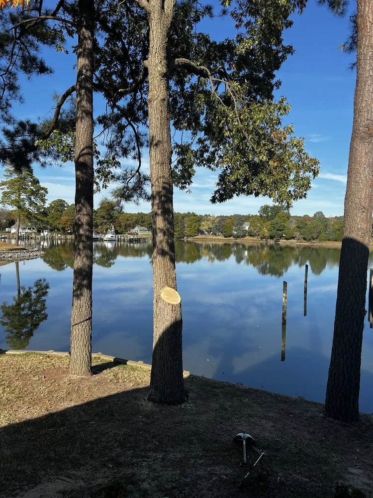 Professional residential landscaping experts serving Yorktown, VA - Mountain To Sea Tree Service