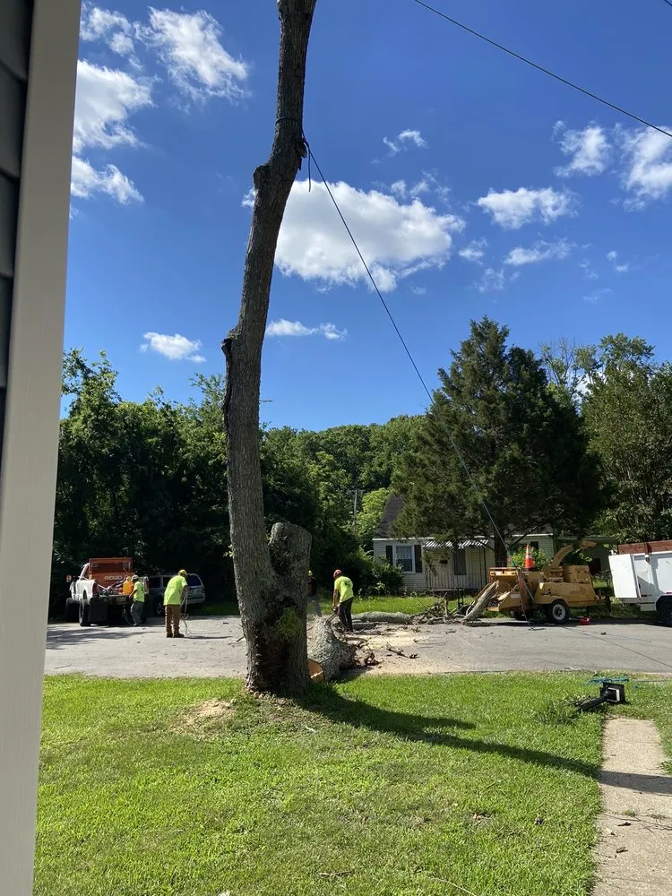 Trusted lawn care service near you in Yorktown, VA by Mountain To Sea Tree Service