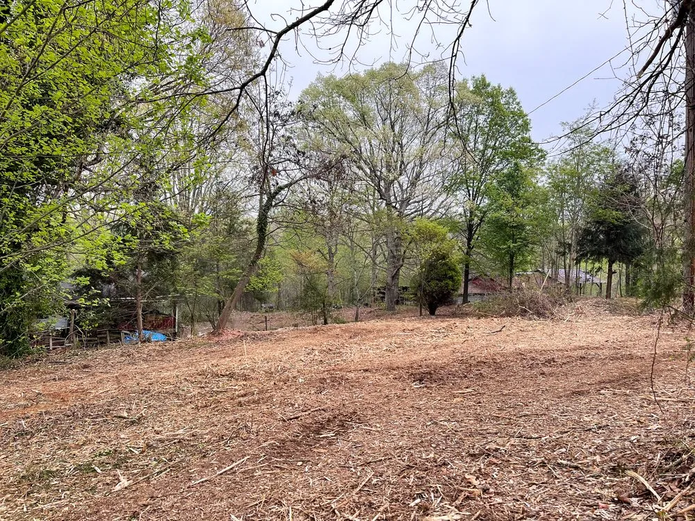 Reliable landscaping services in Clermont, GA - Mountain Top Land Management