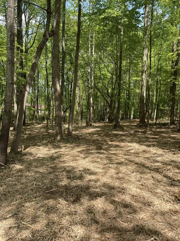 Affordable outdoor landscaping in Clermont, GA by Mountain Top Land Management