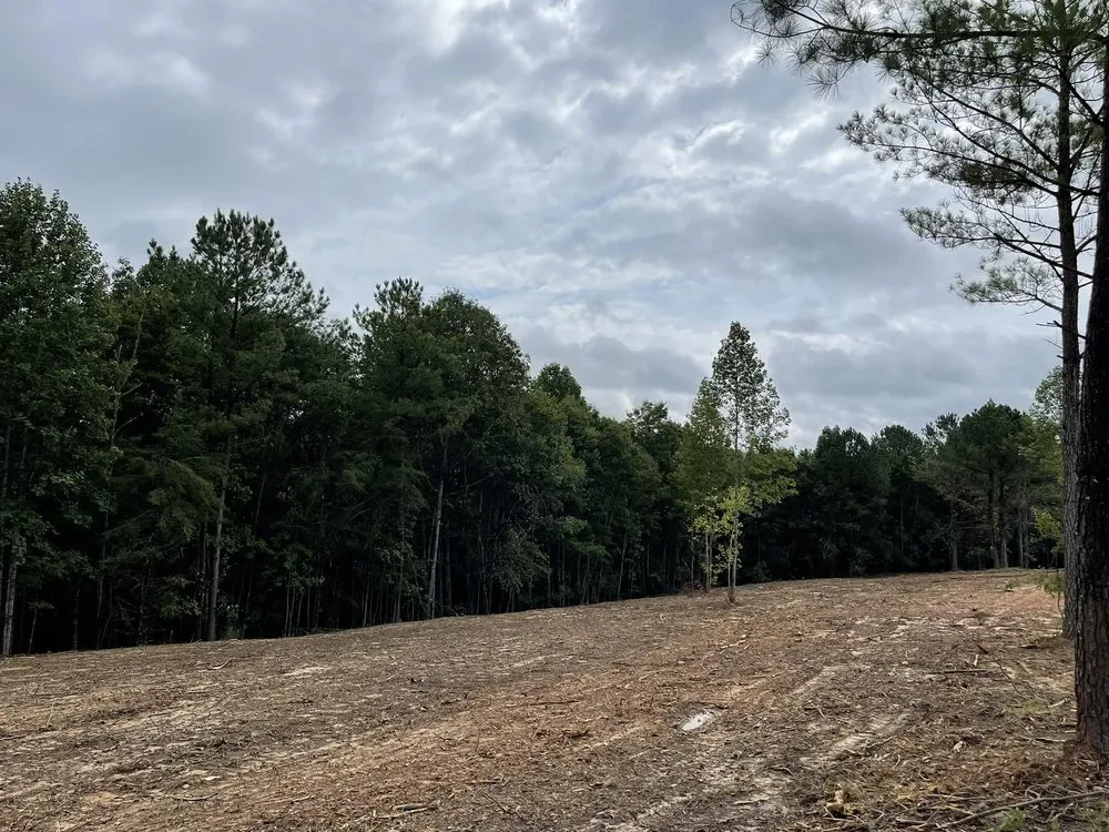 Top-rated landscape installation for homes across Clermont, GA - Mountain Top Land Management