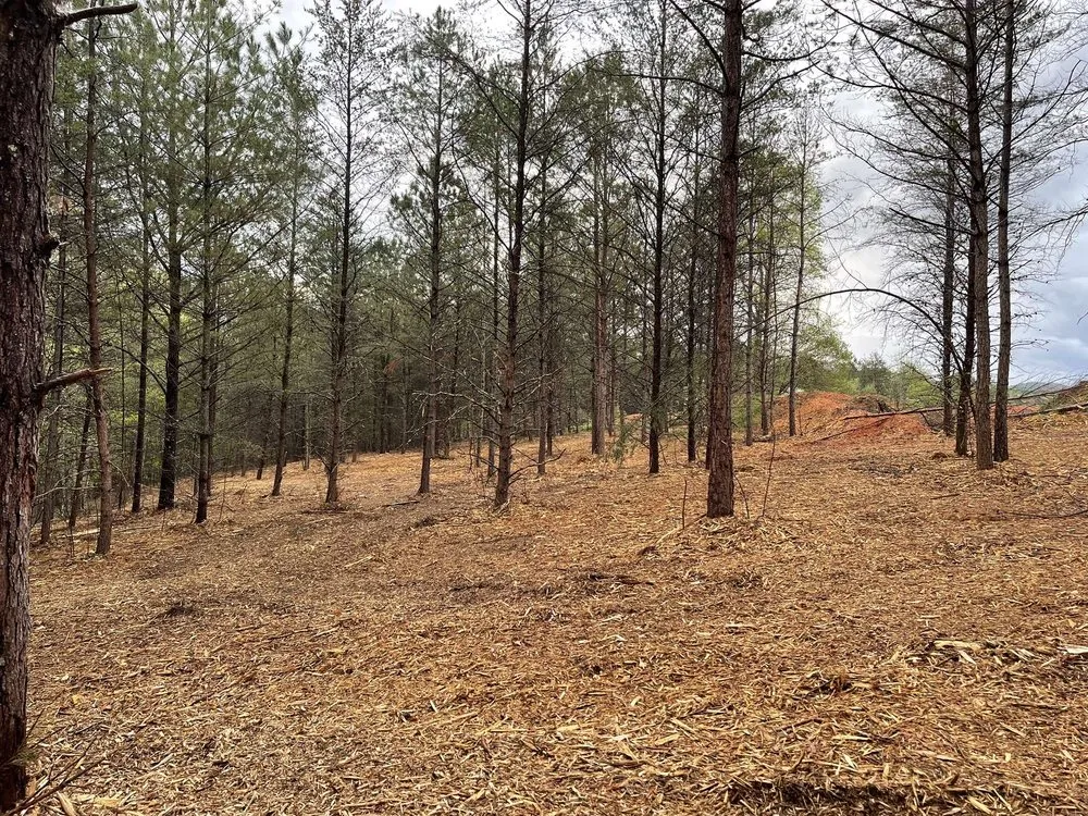 Affordable garden landscaping experts serving Clermont, GA - Mountain Top Land Management