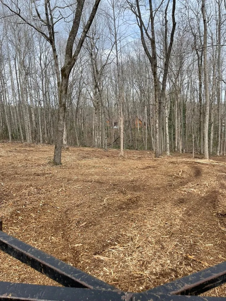 Custom landscape installation for homes across Clermont, GA - Mountain Top Land Management