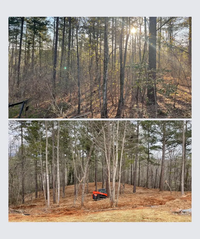 Affordable lawn care service in Clermont, GA - Mountain Top Land Management