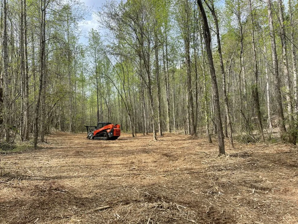 Expert landscape design experts serving Clermont, GA - Mountain Top Land Management