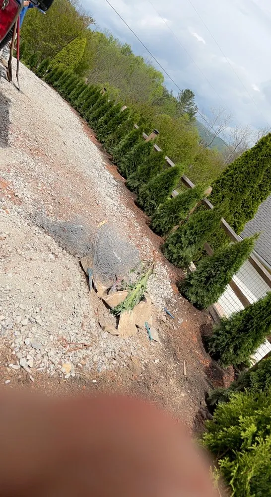 Expert lawn care service in Hendersonville, NC - Mountain Top Landscaping