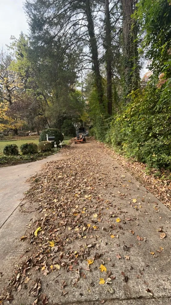 Top-rated lawn mowing service for outdoor upgrades in Hendersonville, NC by Mountain Top Landscaping