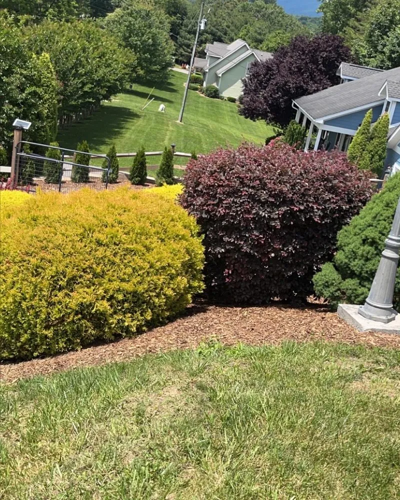 Trusted garden landscaping in Hendersonville, NC by Mountain Top Landscaping