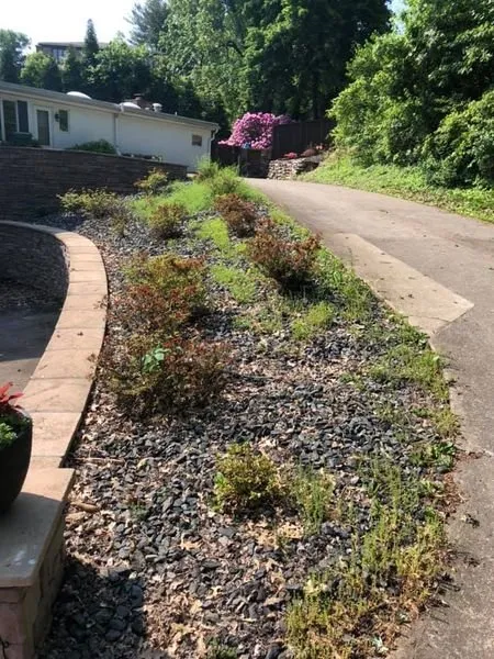 Local lawn care service in Morgantown, WV - Mountain Top Landscaping